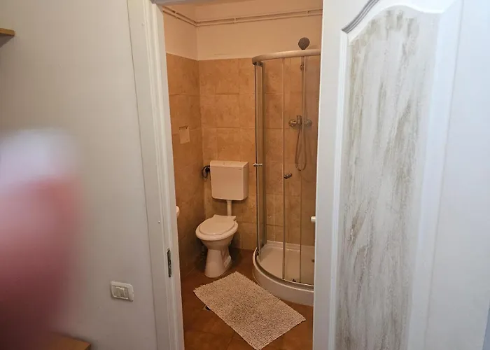 Georgiana 2 Τιμισοάρα