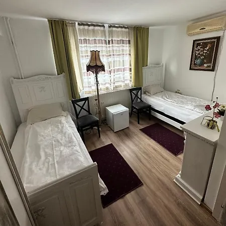 Georgiana 2 Гостевой дом Тимишоара