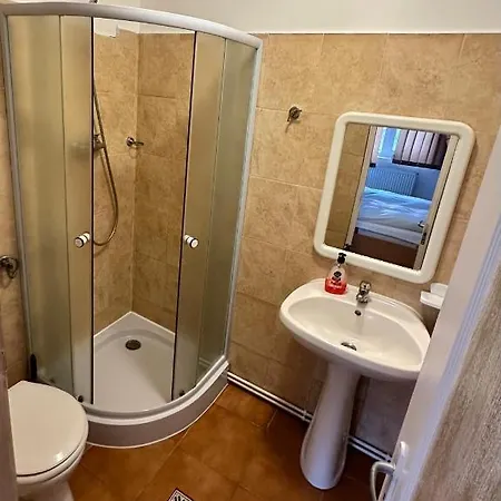 Georgiana 2 Гостевой дом Тимишоара