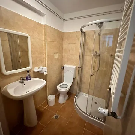 Georgiana 2 Гостевой дом Тимишоара