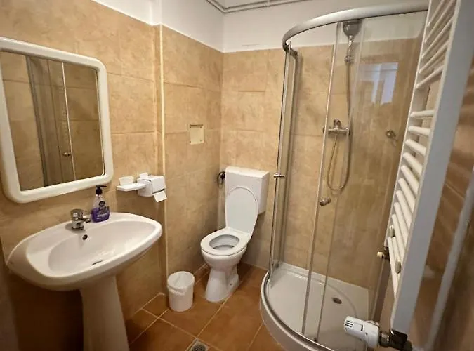 Georgiana 2 Affittacamere Timisoara